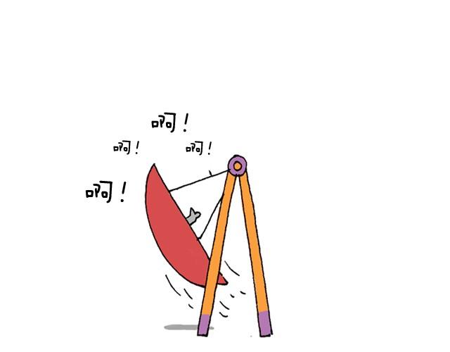 玩个花钱的61