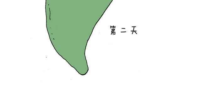 这就是台湾~29