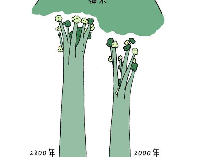 这就是台湾~57