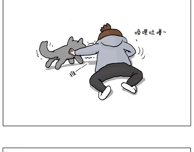 习惯了55