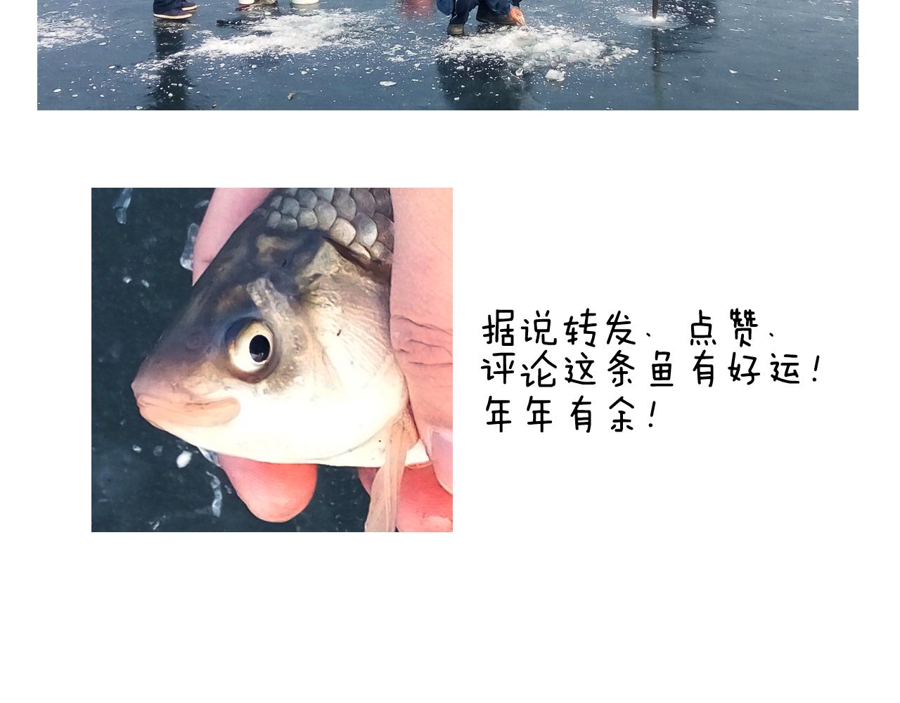 北方冬天的钓鱼方式74