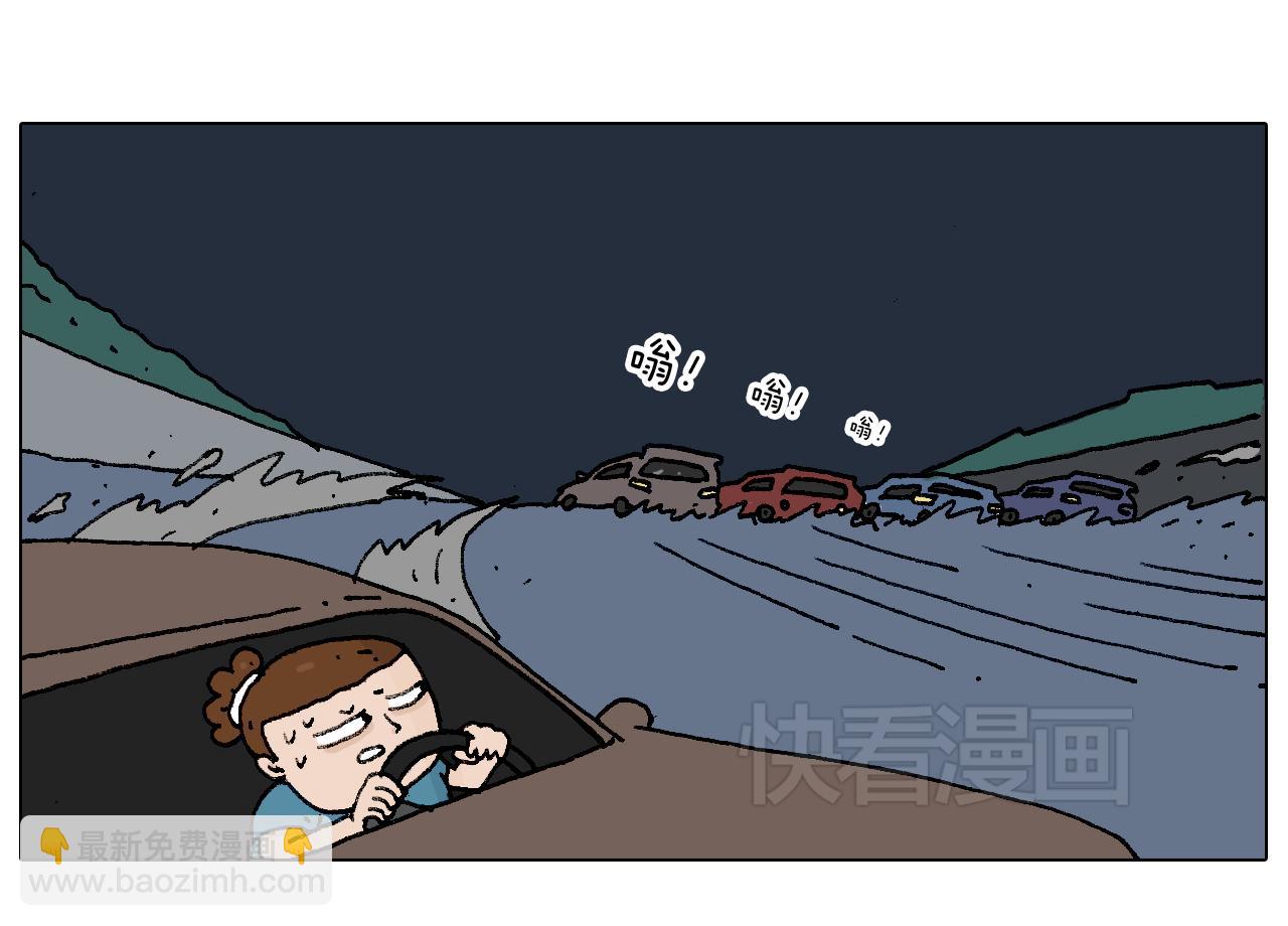 速度与亲情18