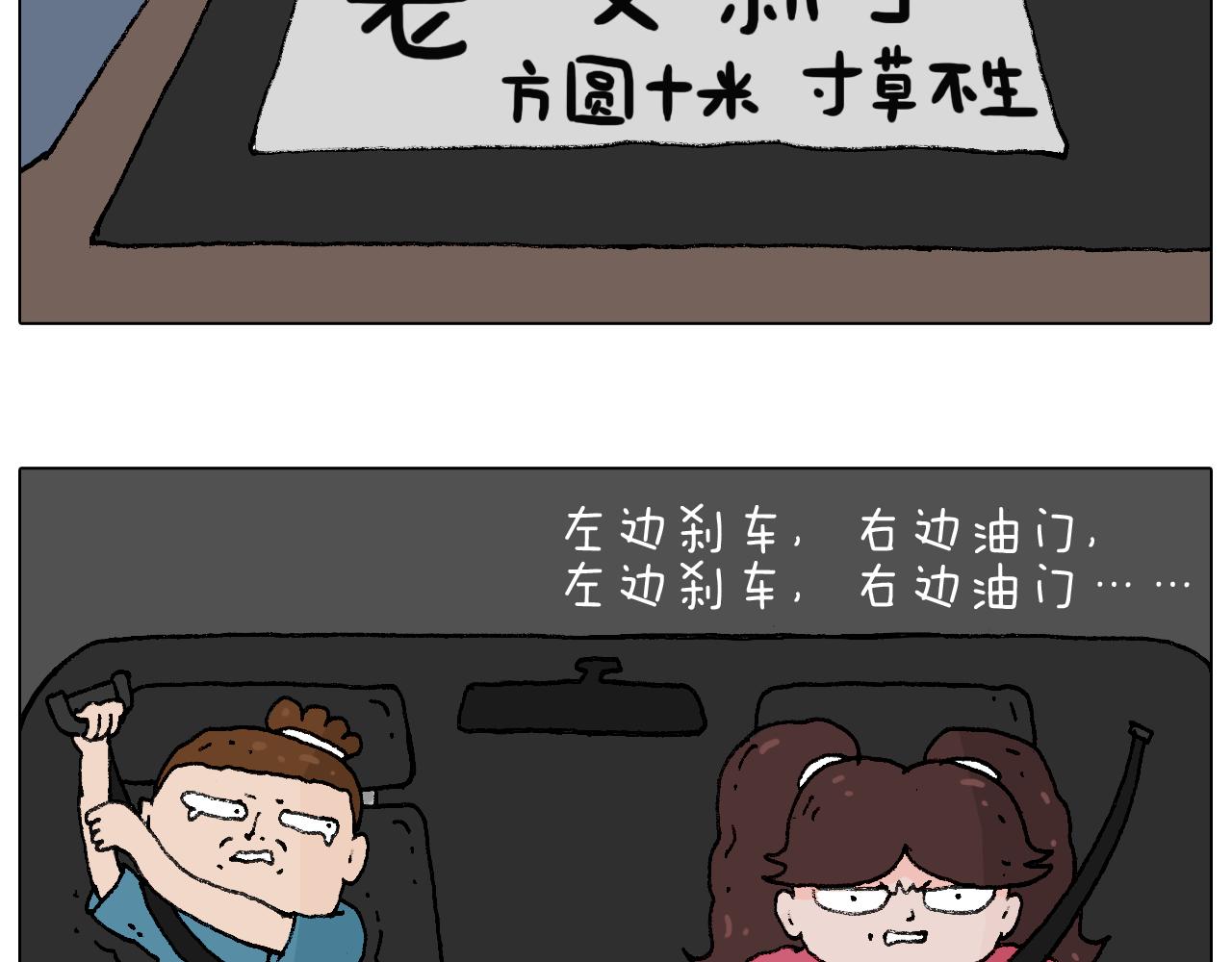 速度与亲情71