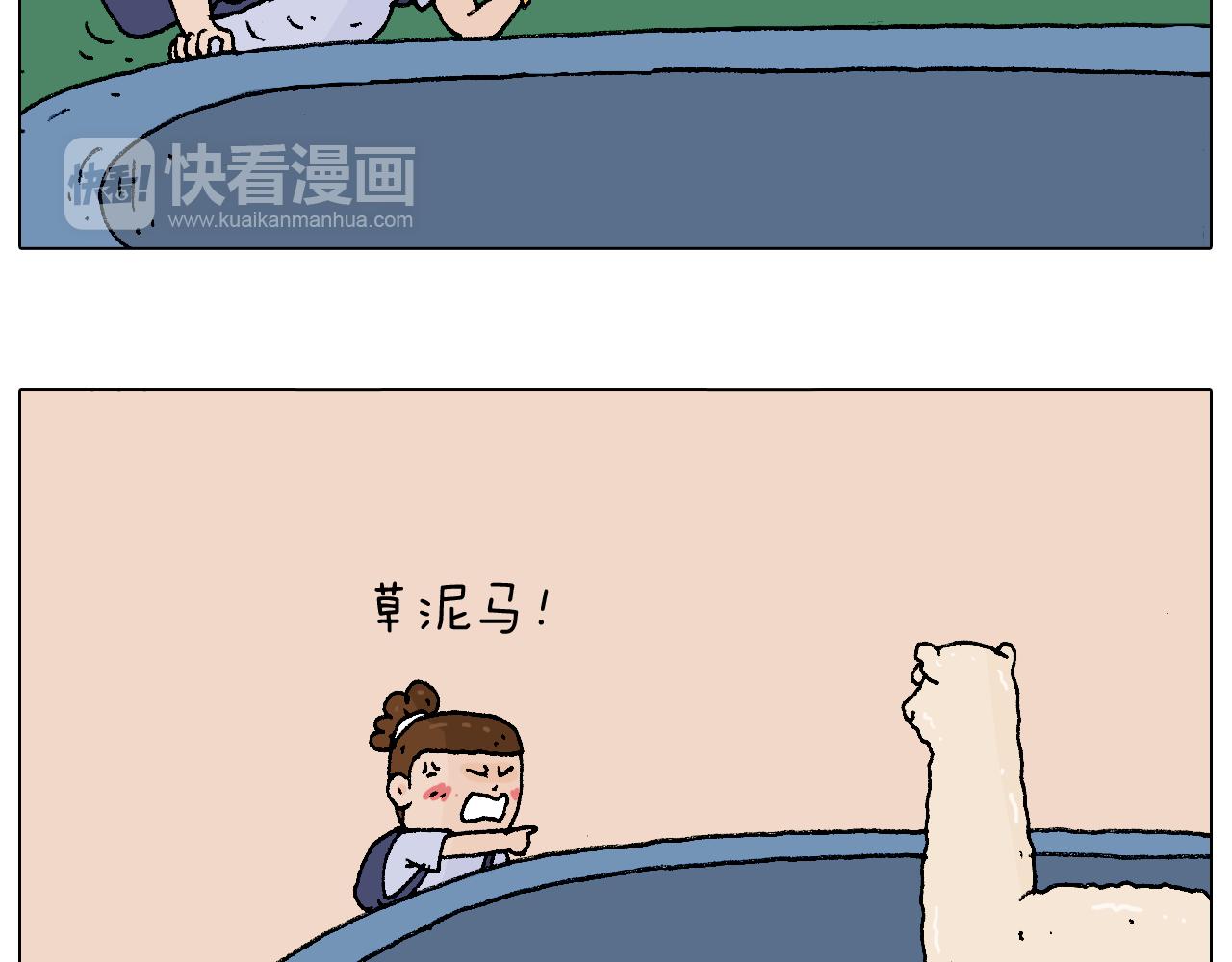 抵达动物园74