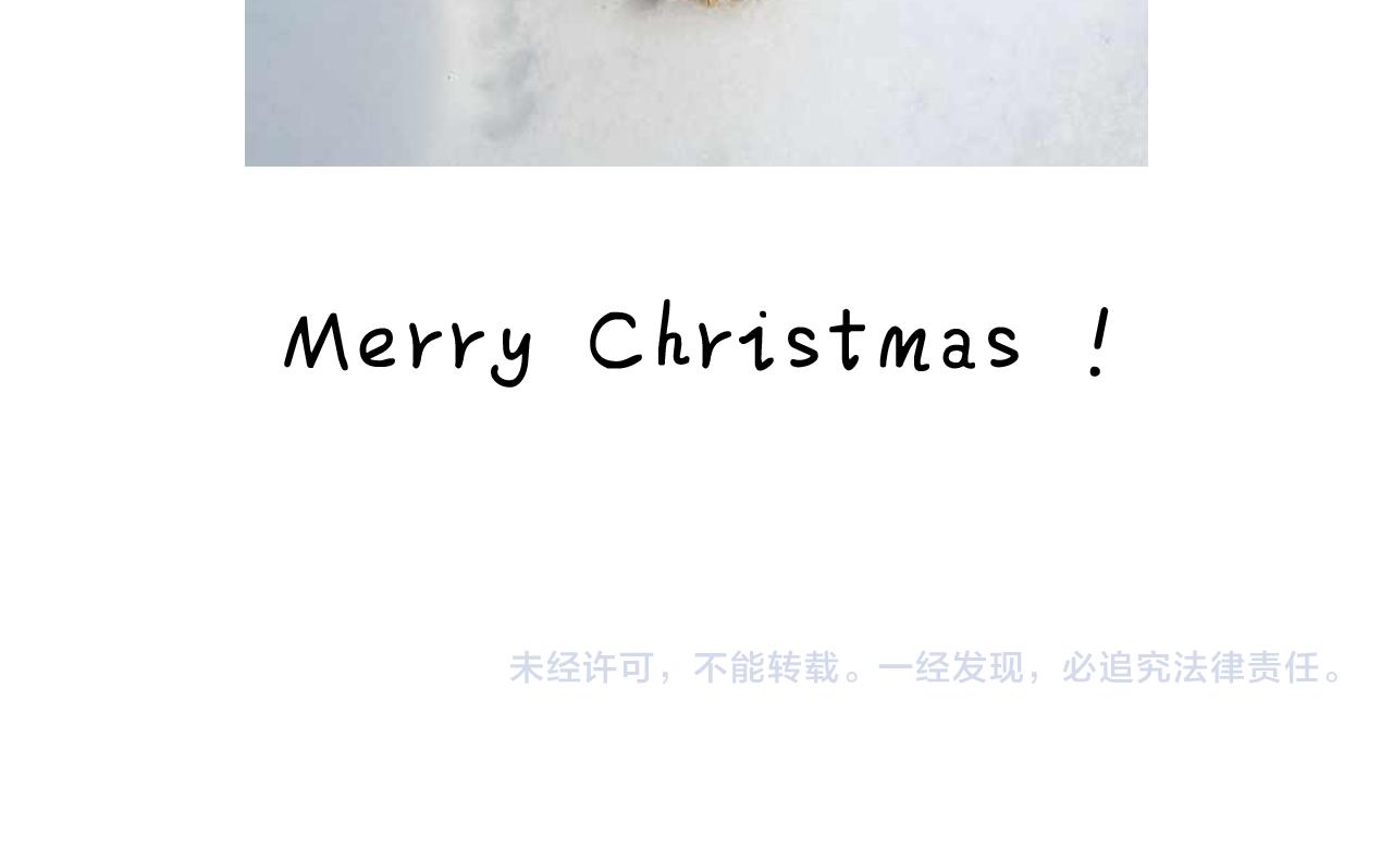 打雪仗88