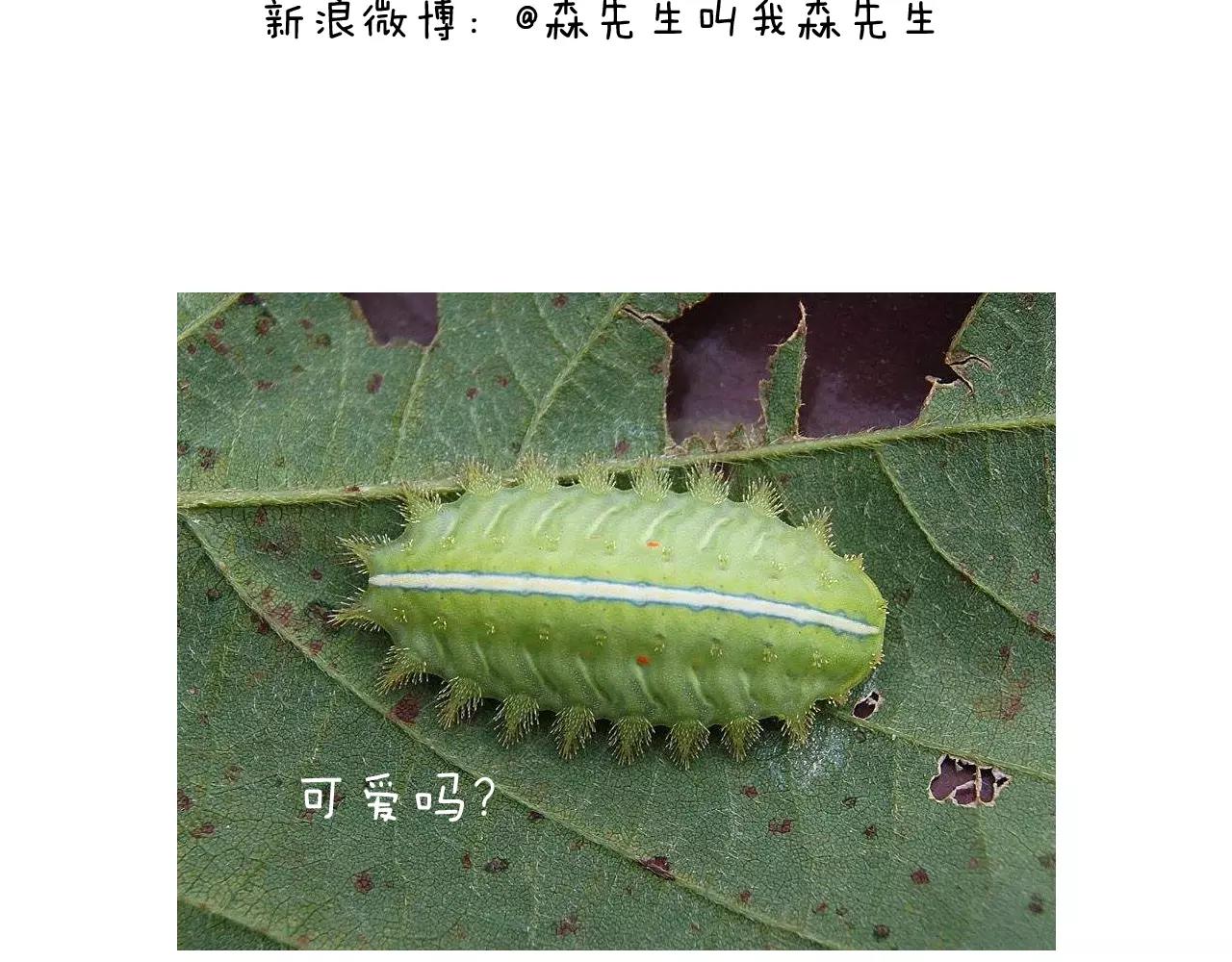 麒麟臂73