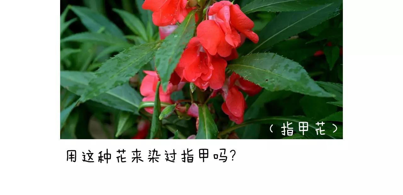 美甲73