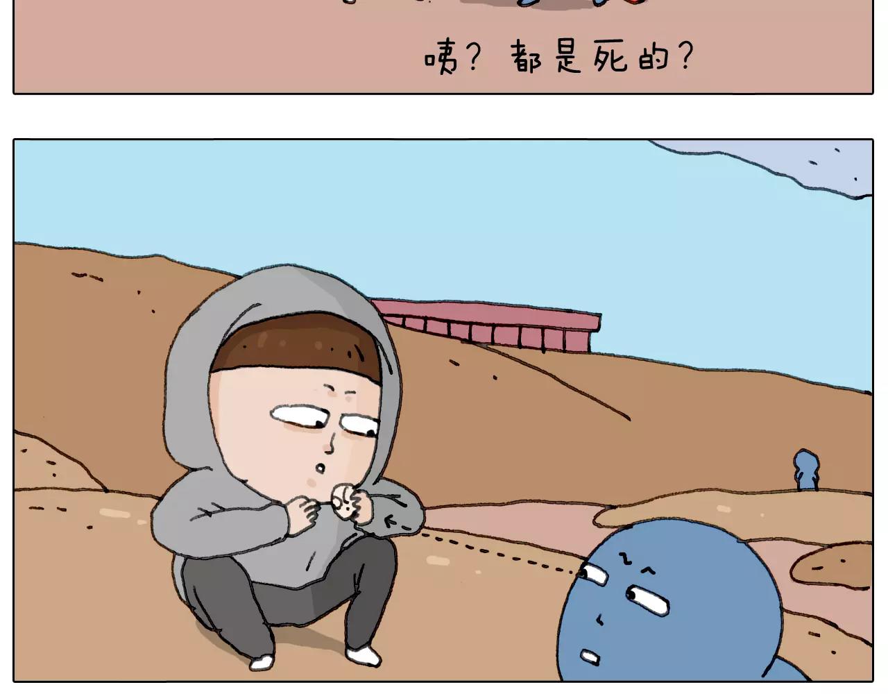 浪里个浪68