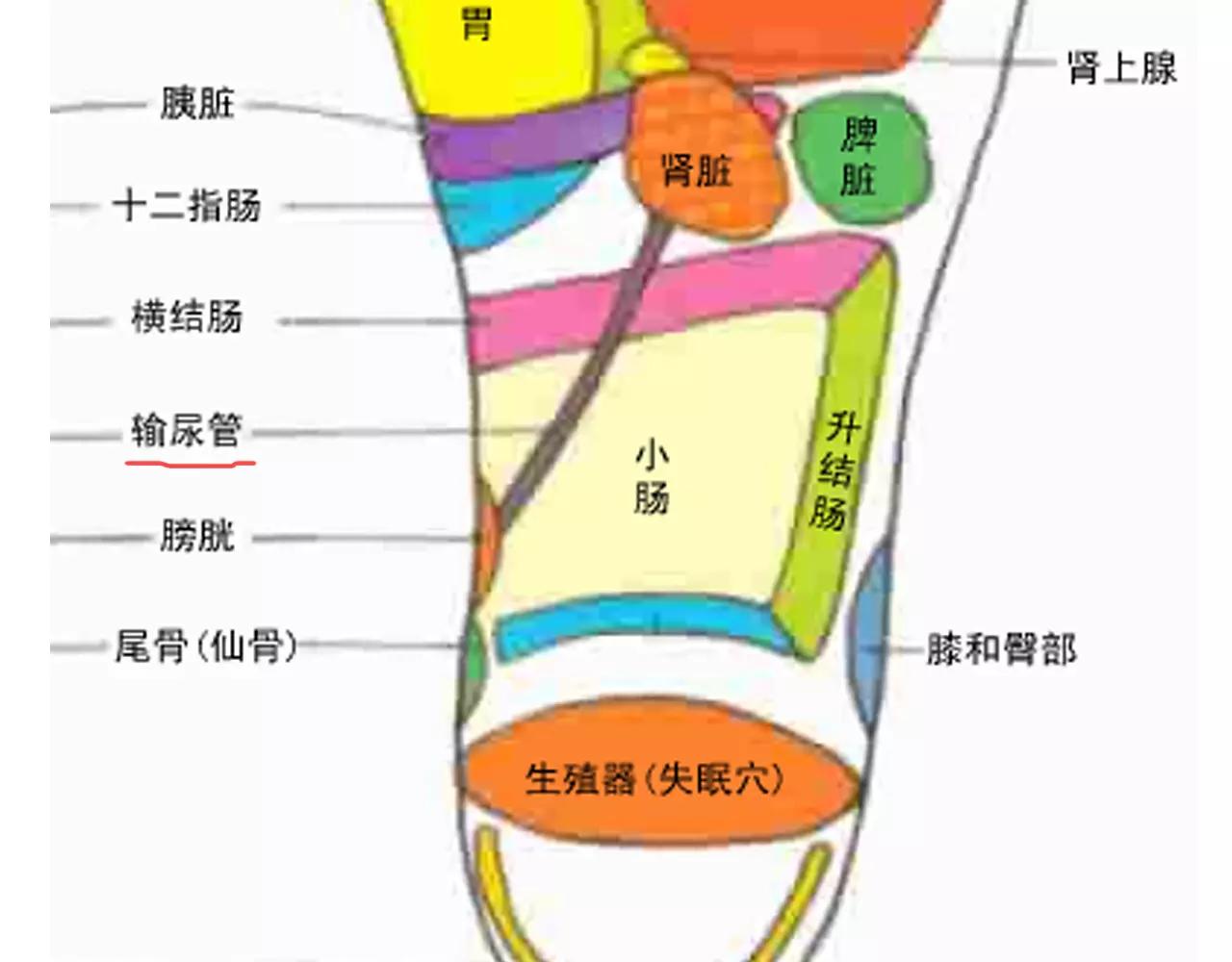 第170话69