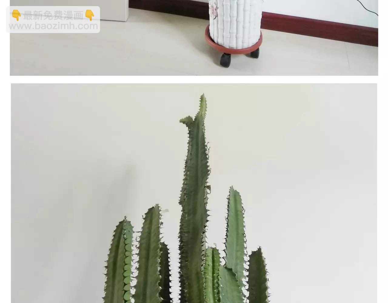 第177话 经济拮据60