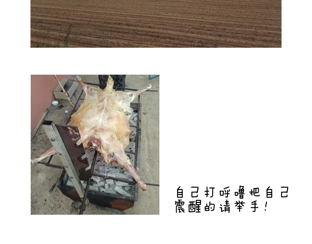 第184话 烤全羊72