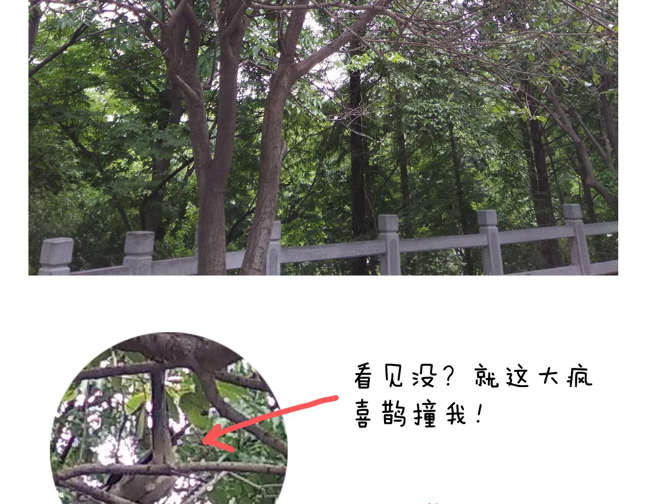 第187话 意外伤害79