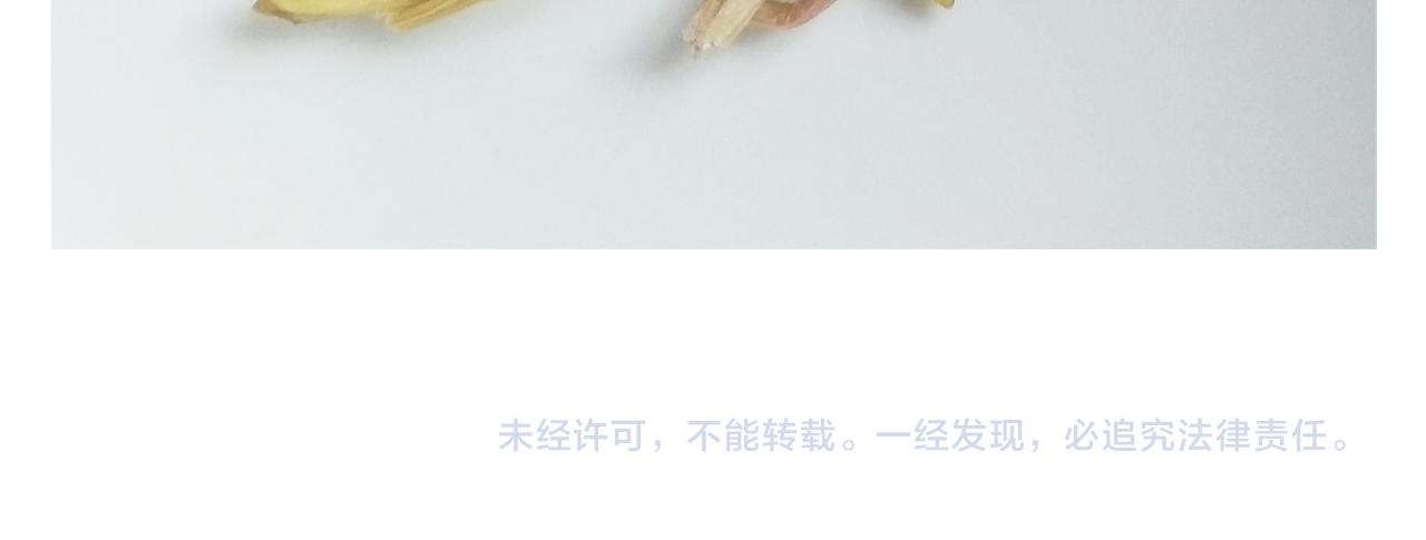 第205话 胜者为王59