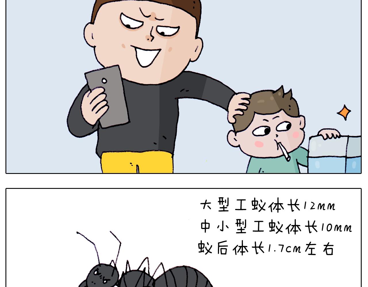 第212话 蚂蚁侠22