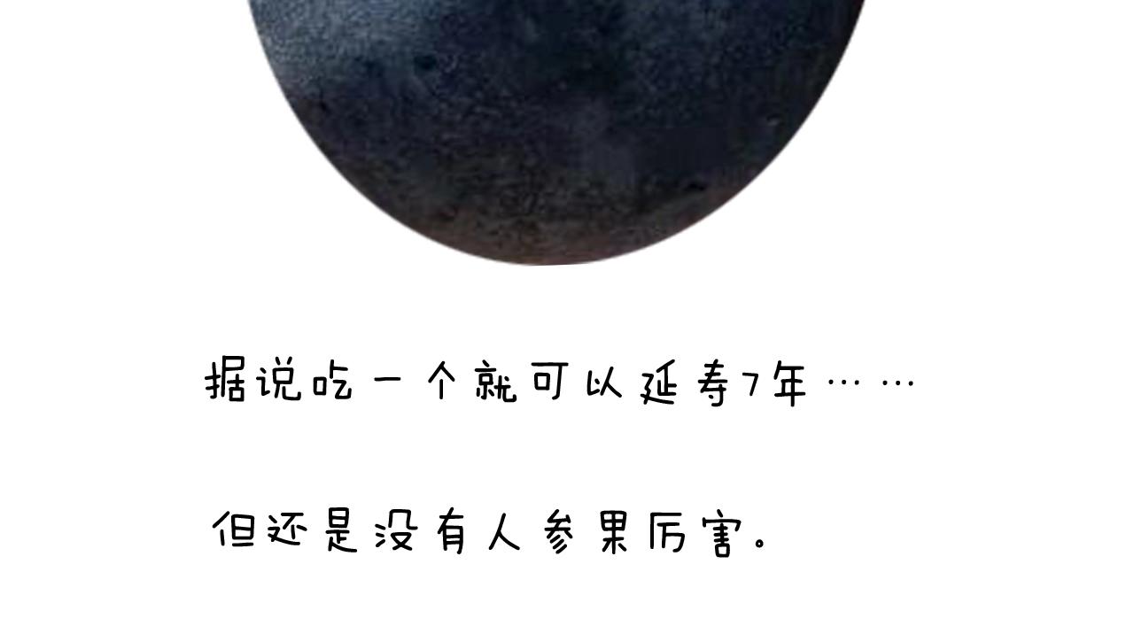 第236话 “黑玉子”71