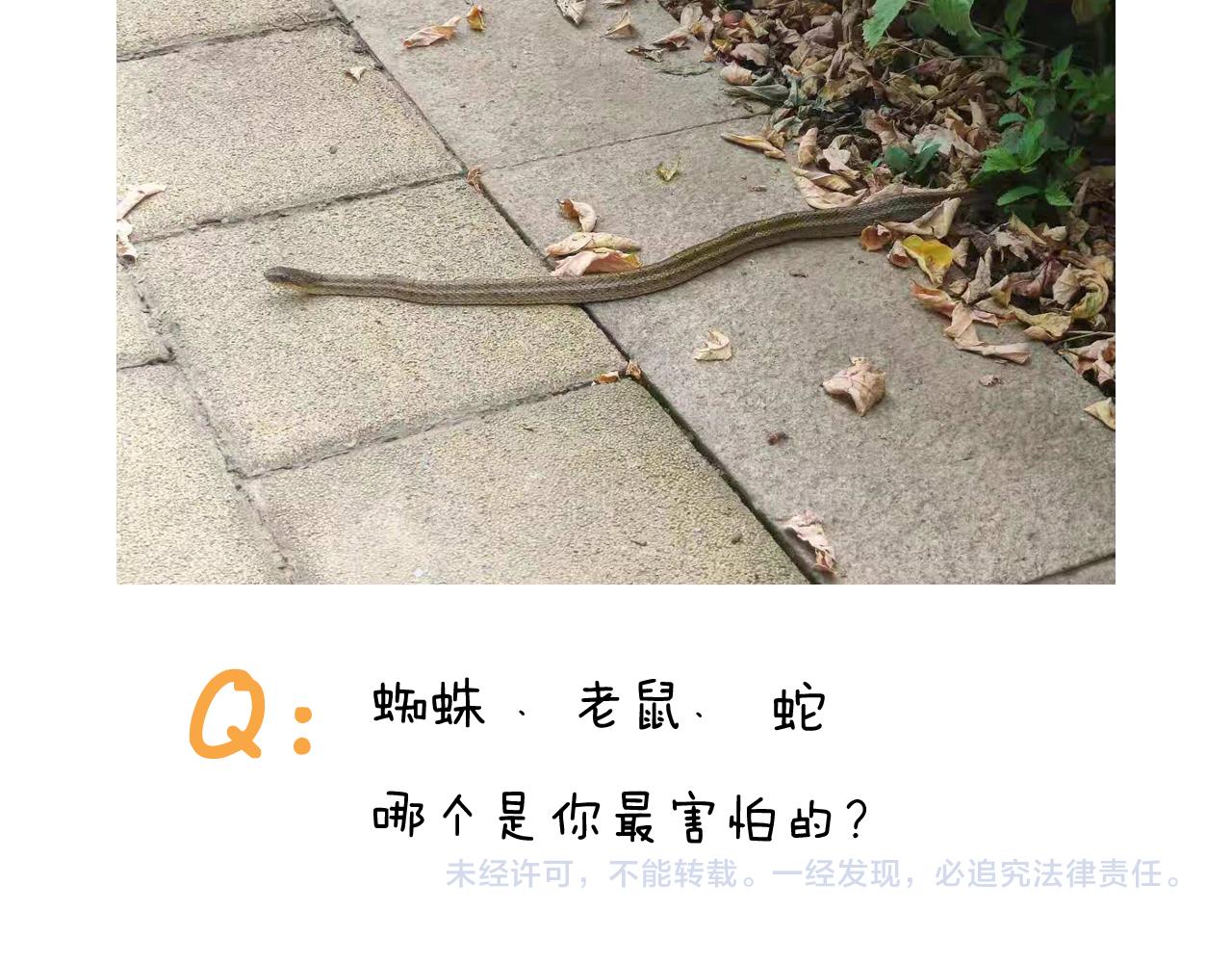 第351话 血脉压制54
