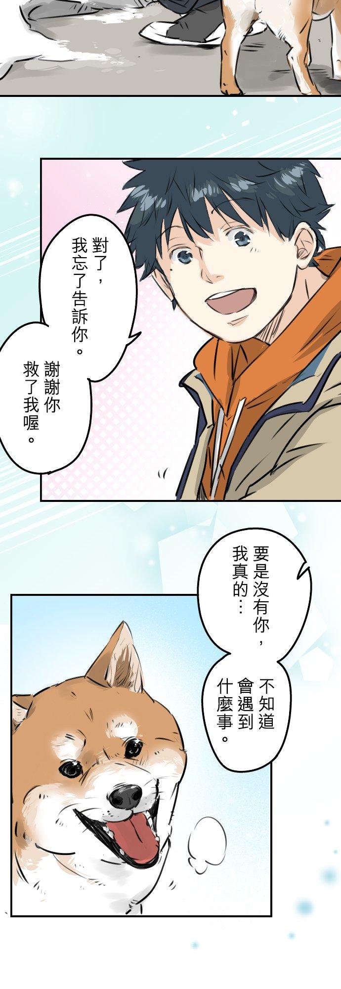 第220话 误会的狗9