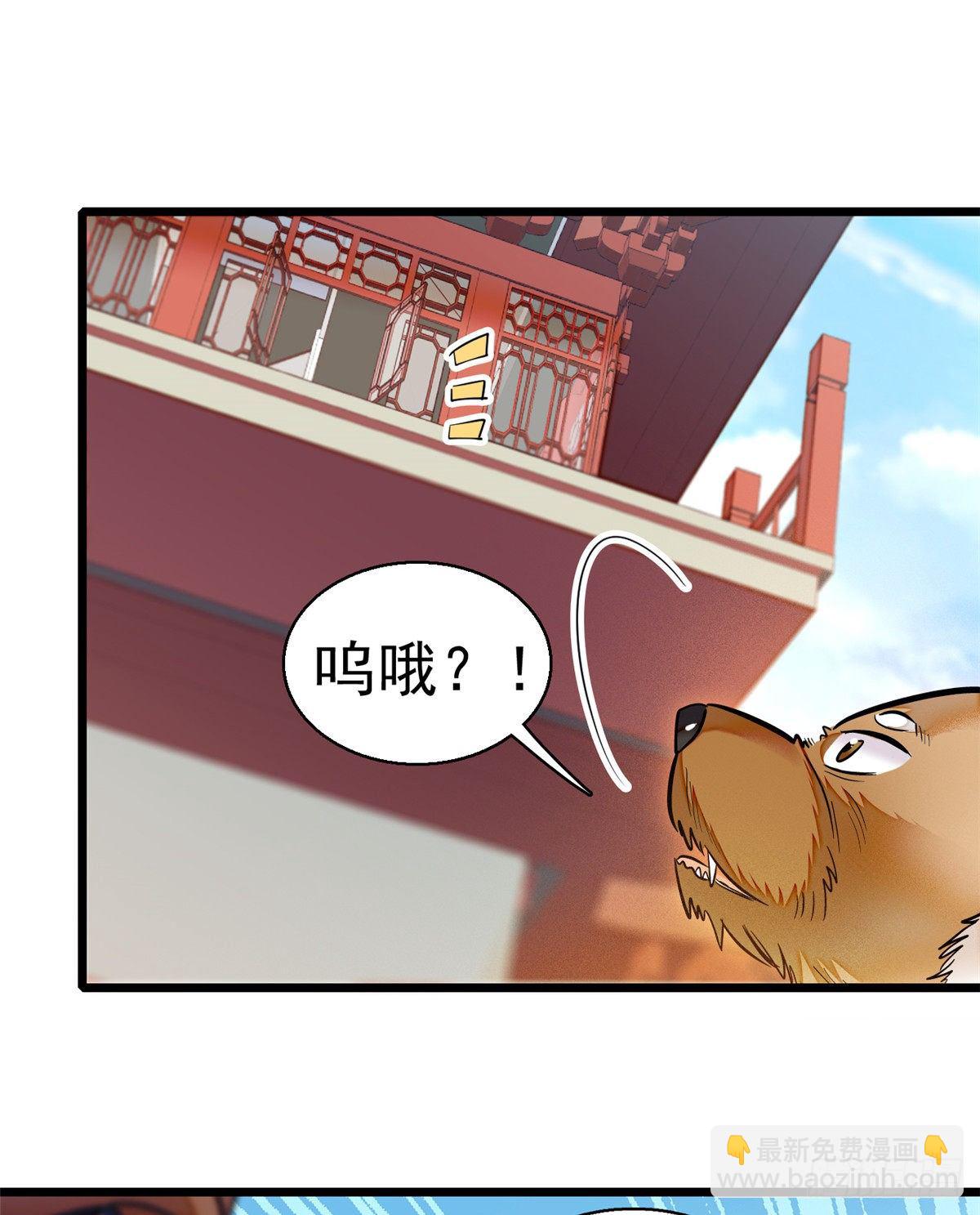 第35话 连条狗都打不过13