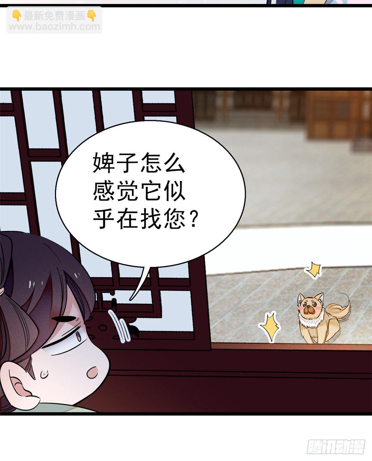第35话 连条狗都打不过16