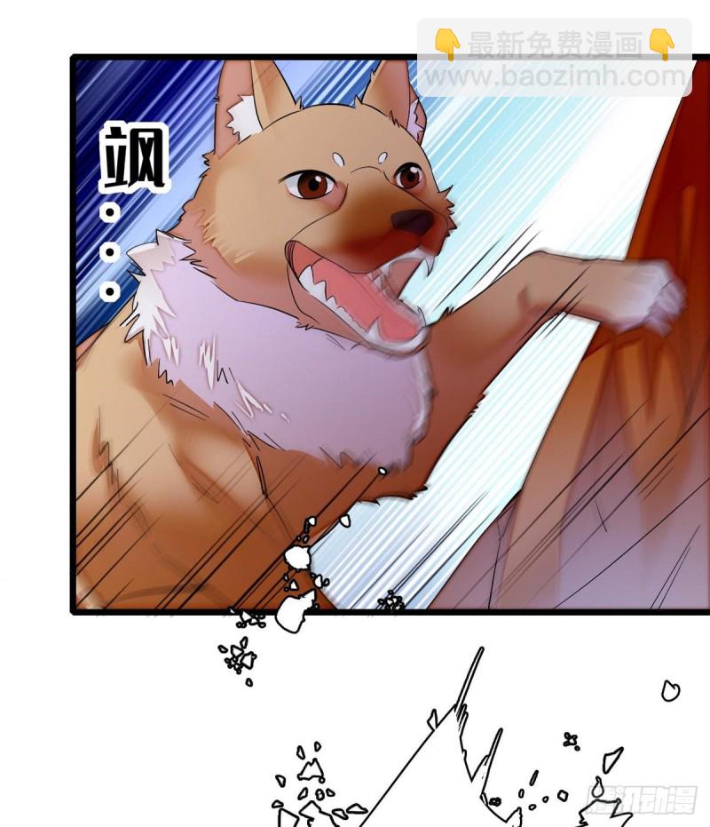 第74话 一只绣花鞋13