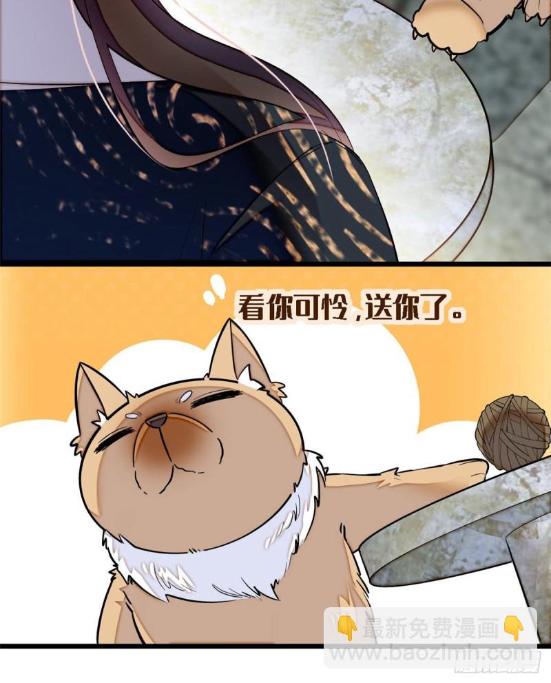 第85话 七皇子的状50