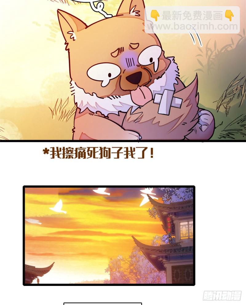 第95话 岳父好感加30039