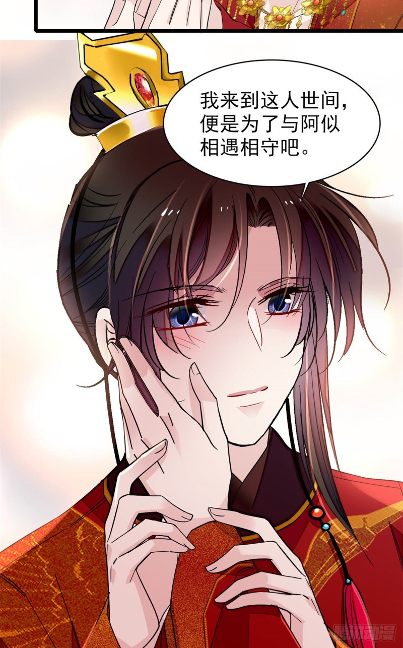 第135话 大婚11