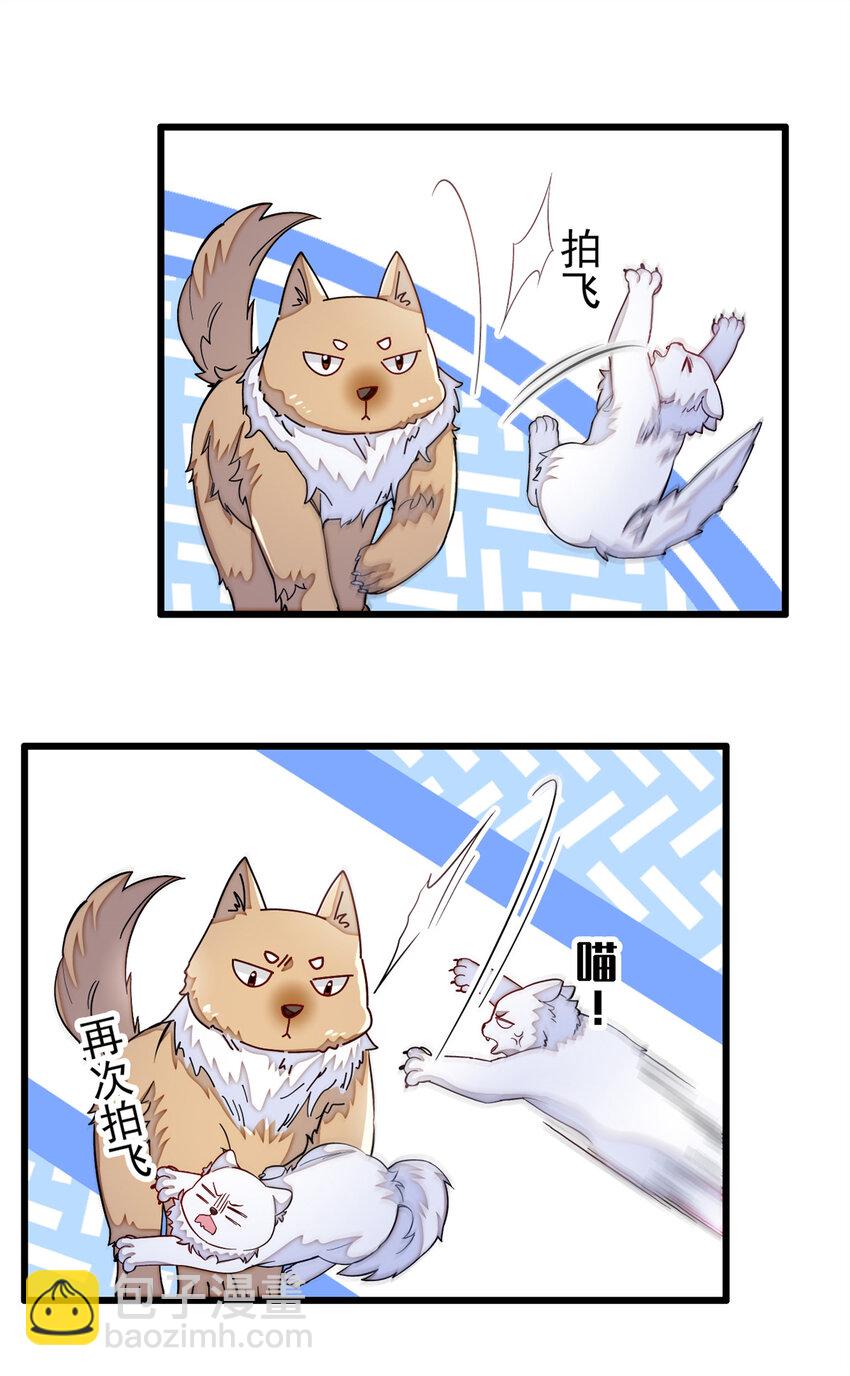 334 以为我什么都不知道吗？22