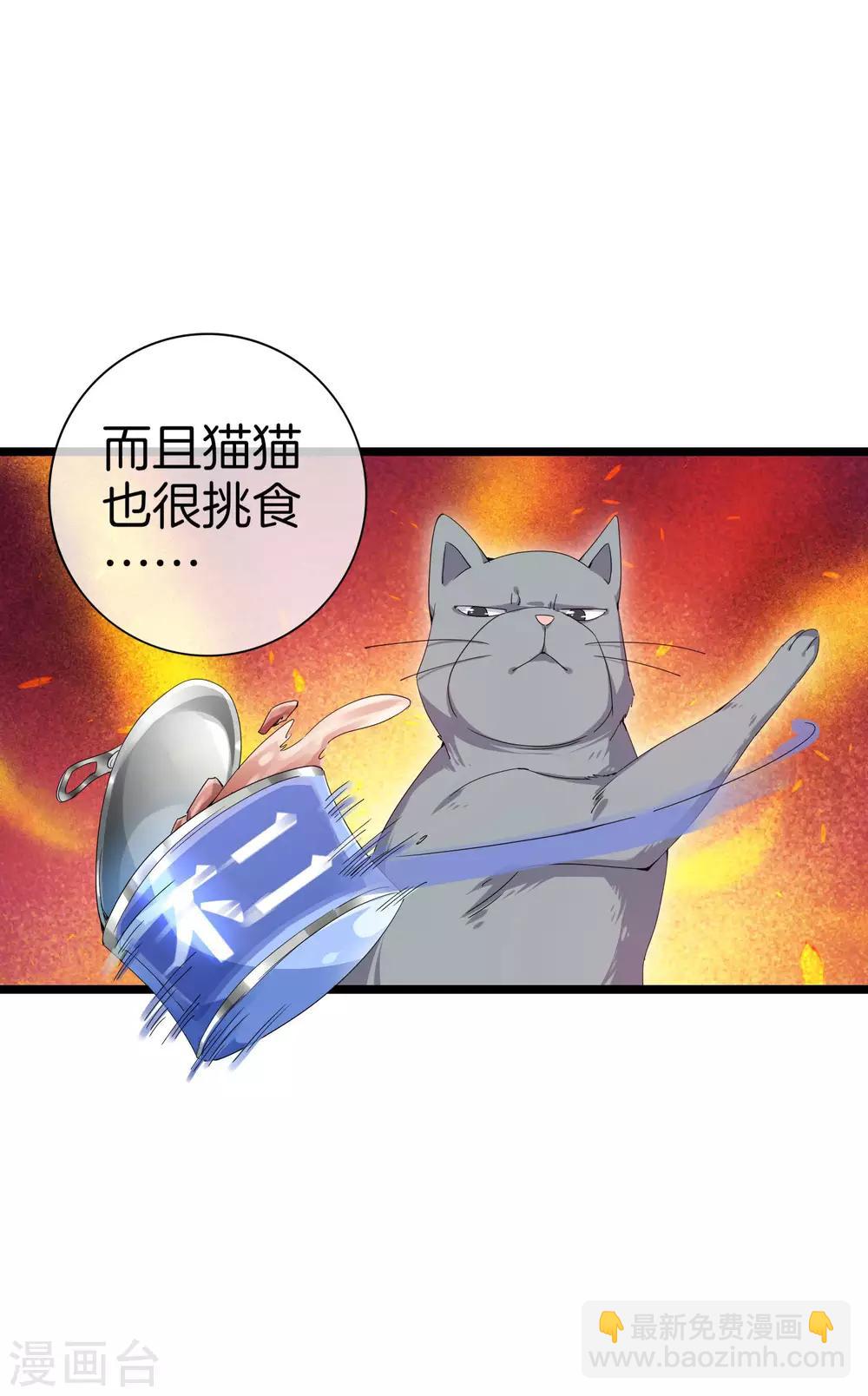 第125话 史上超豪华养猫团队？！19