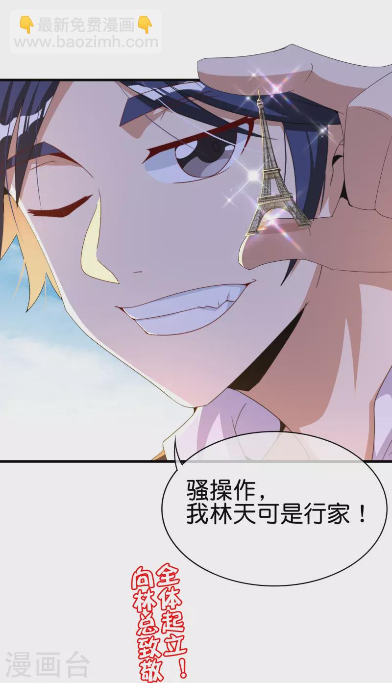 第248话 全体起立！向林总致敬！31