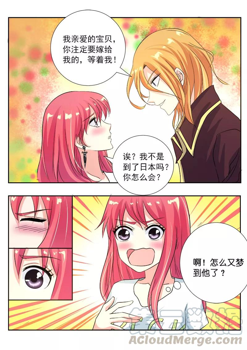 第111话 新的别墅6