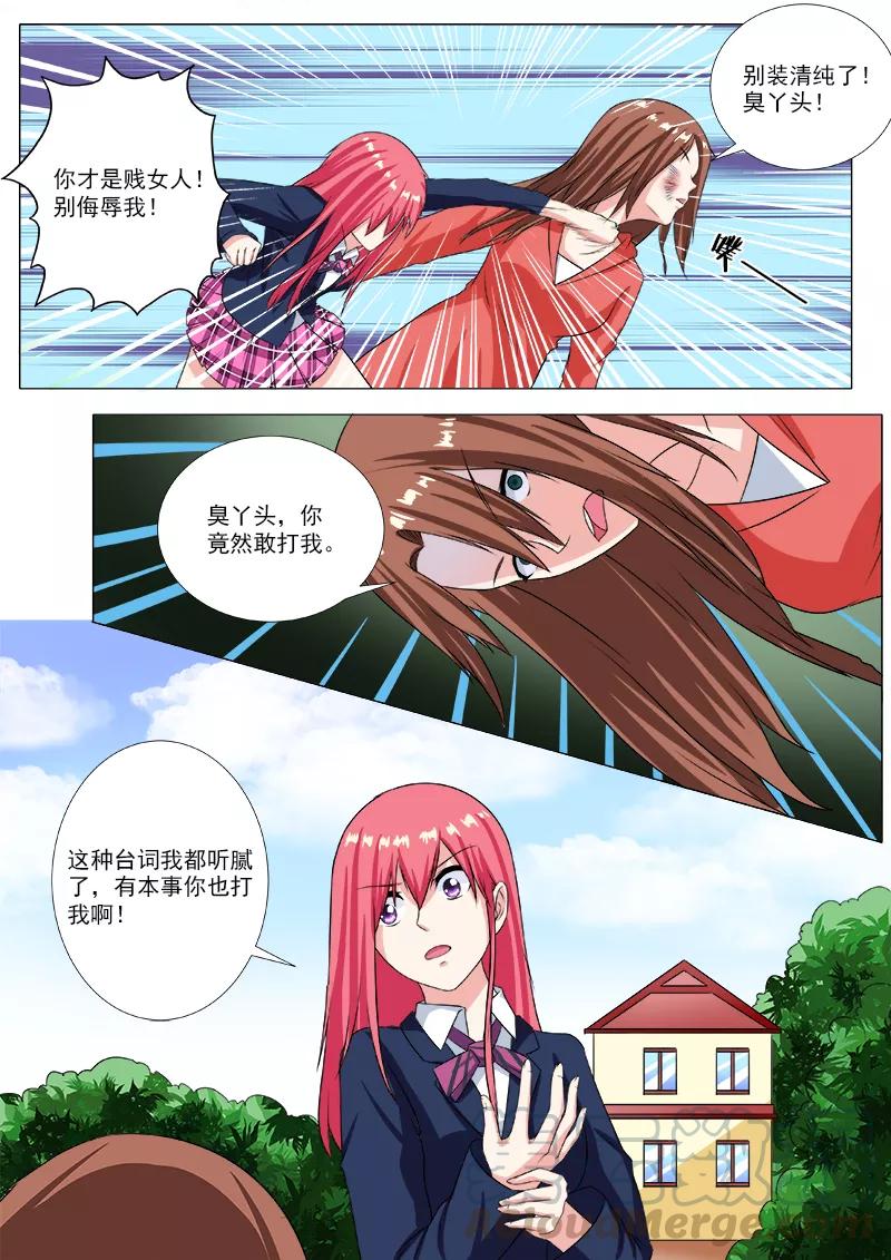 第206话 三个女人一台戏2