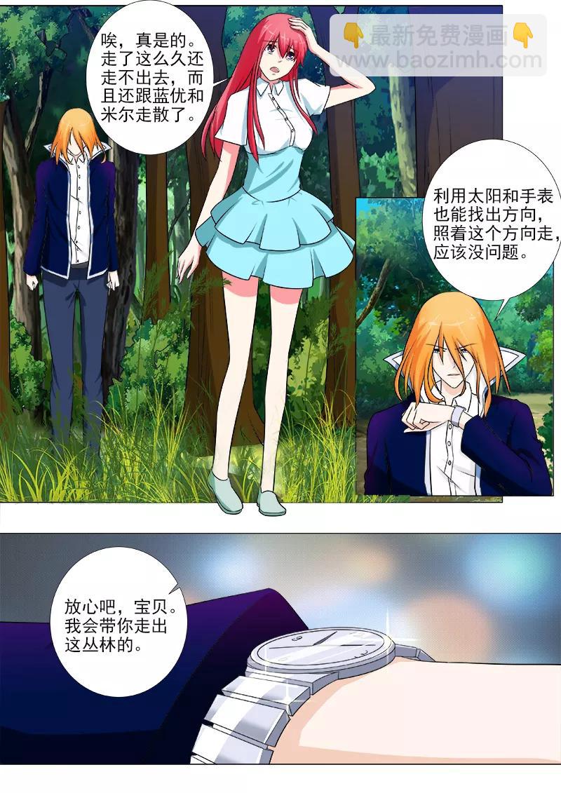 第244话 丛林遇险5