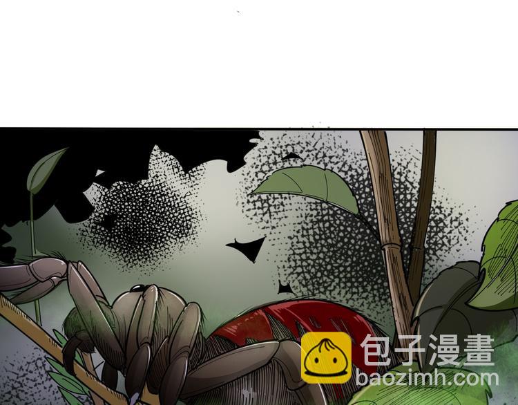 第4话：来自金凤山！31