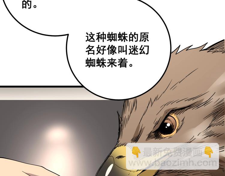 第51话 幻影蜘蛛12