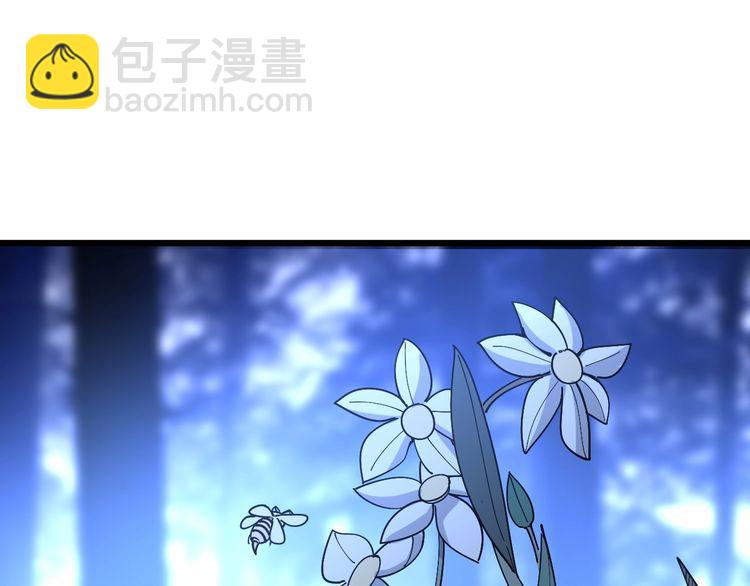 第87话 非洲大鹦鹉4