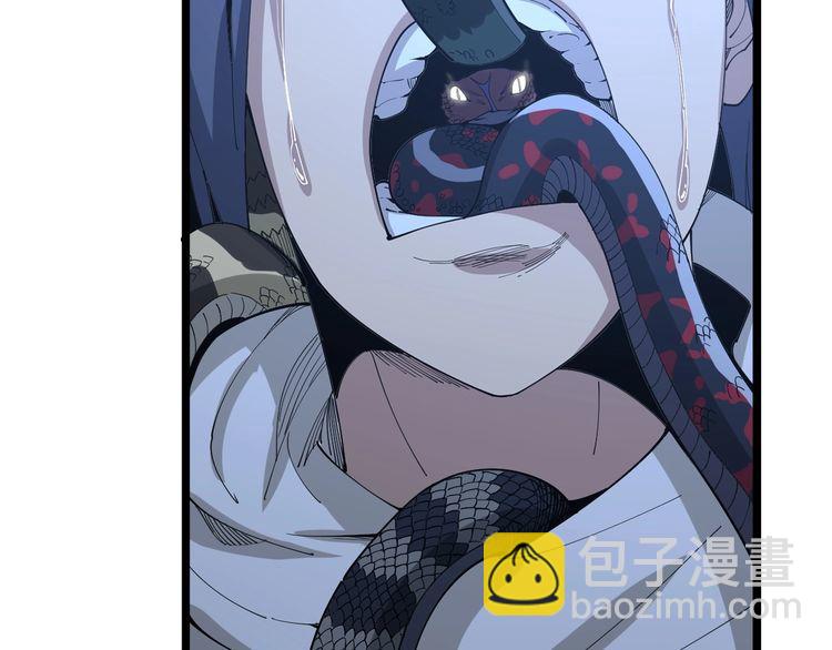 第87话 非洲大鹦鹉40