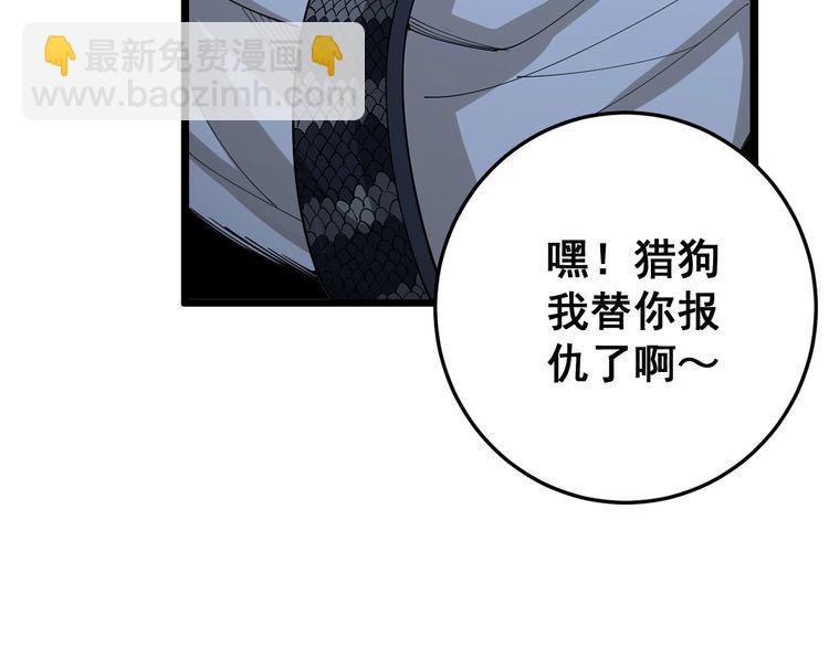 第87话 非洲大鹦鹉41