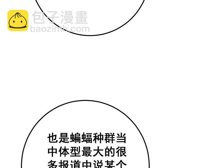第121话 效忠我博卡123