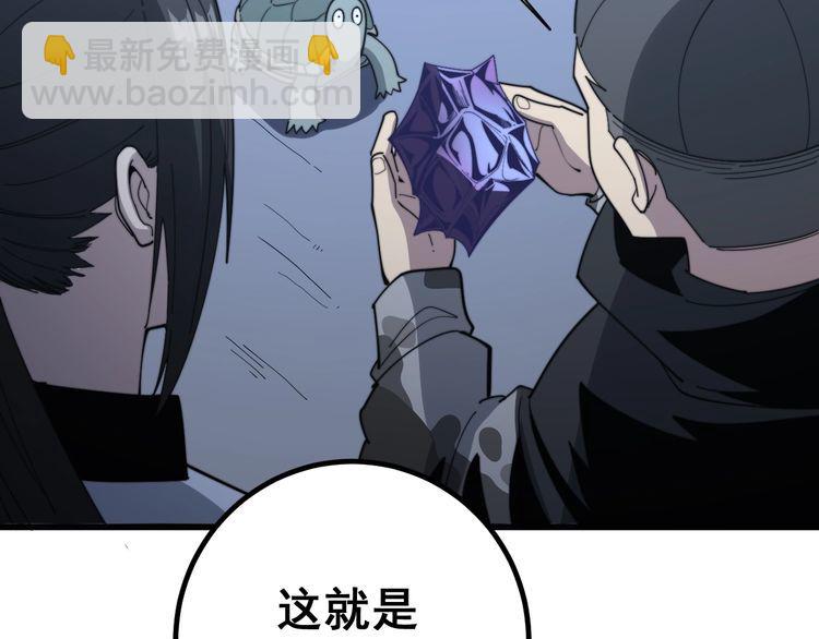 第127话 巴西小乌龟124