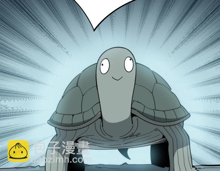 第127话 巴西小乌龟32