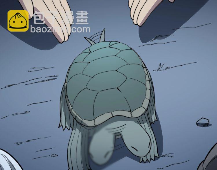 第127话 巴西小乌龟61