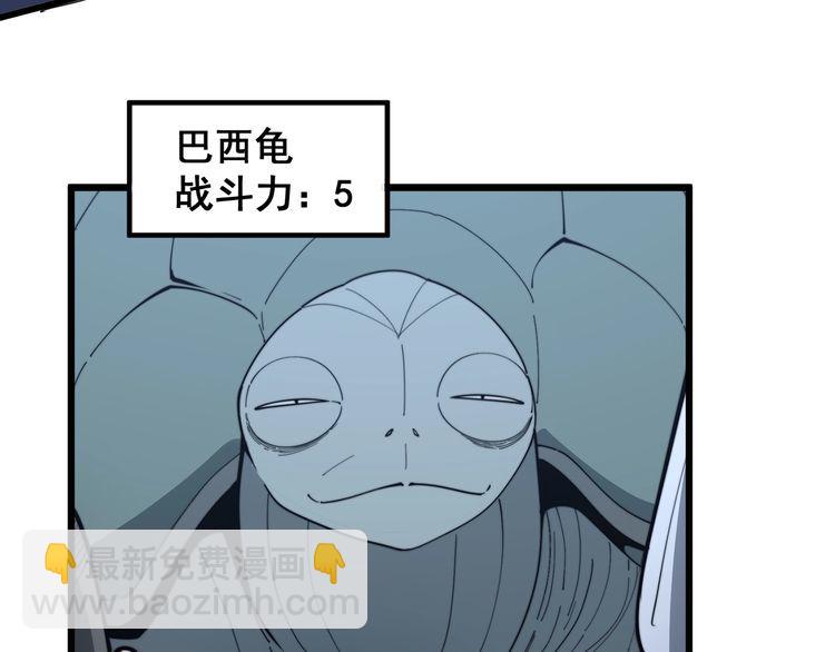 第127话 巴西小乌龟7