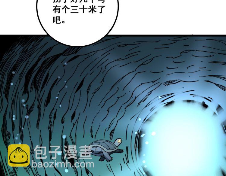 第127话 巴西小乌龟91