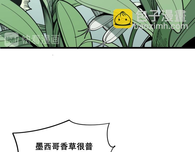 第154话 神秘香草34