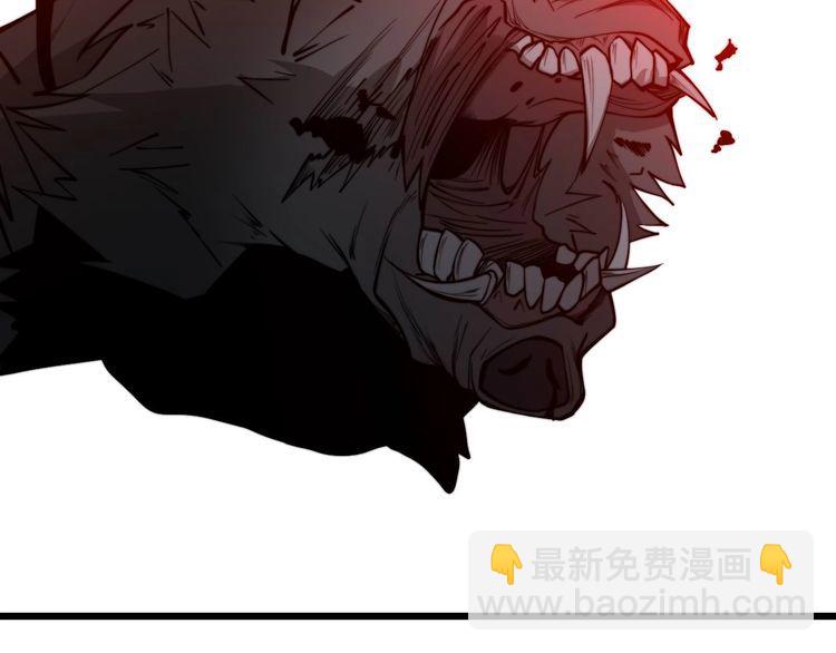 第244话 熊王71