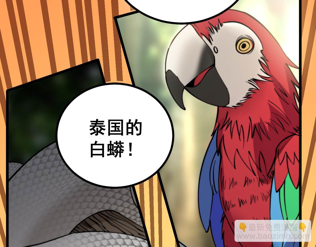 第273话 风水大师75