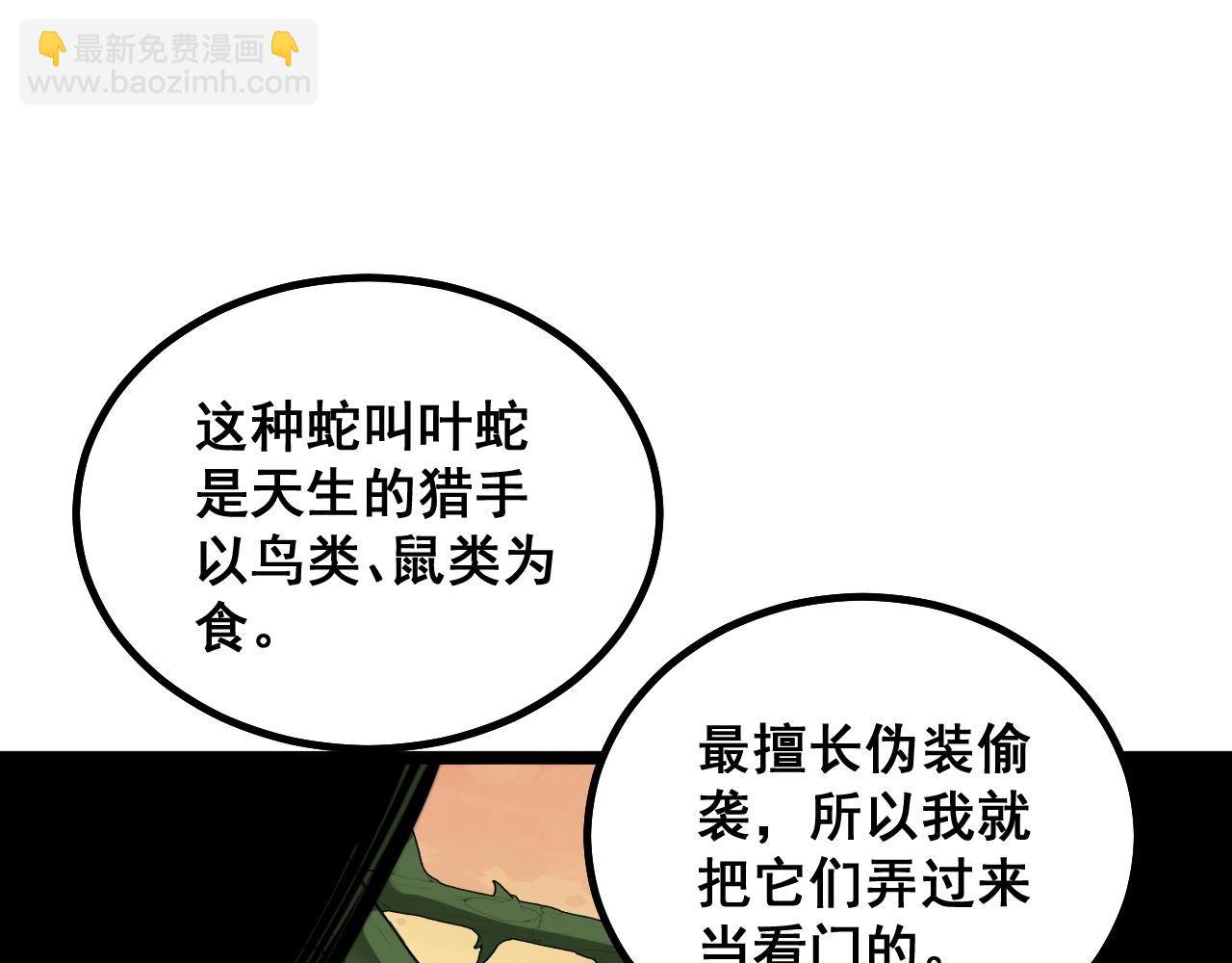 第283话 百年巫门117