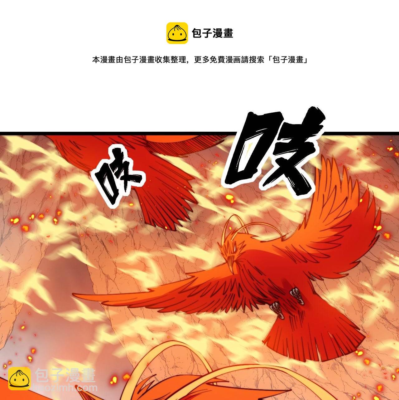 第306话 梧桐木12