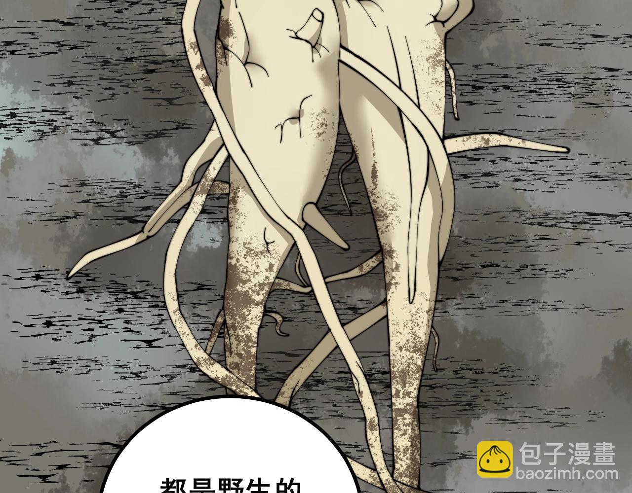 第335话 子母参80